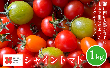 S-13 シャイントマト1kg シャイントマトファーム《1月中旬-6月中旬頃出荷予定》岡山県 笠岡市 トマト 野菜 ミニトマト