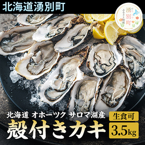 北海道 オホーツク サロマ湖産 殻付きカキ 生食可 3.5kg 牡蠣職人厳選