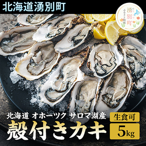 北海道 オホーツク サロマ湖産 殻付きカキ 生食可 5kg 牡蠣職人厳選