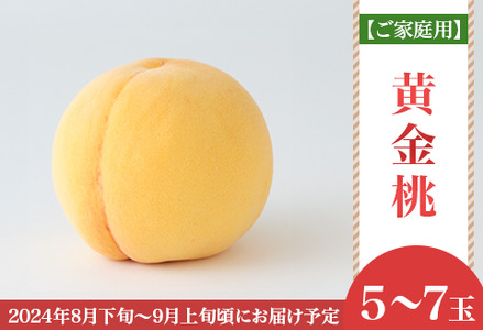 【ご家庭用】岡山県産 黄金桃 5～7玉