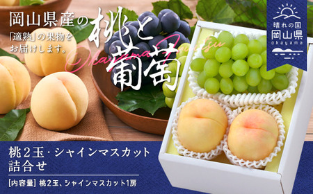 岡山県産「白桃・シャインマスカット」詰合せ 約1.0kg