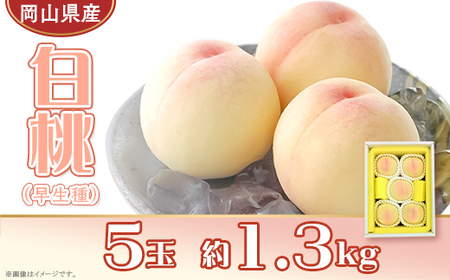 岡山県産 白桃5玉（約1.3kg）