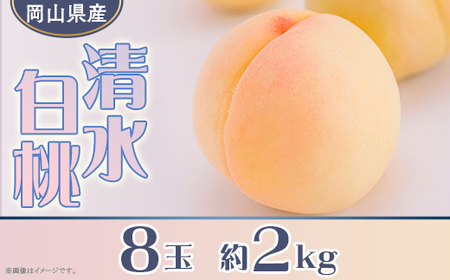 岡山県産 清水白桃8玉（約2.0kg）
