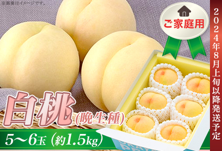 ご家庭用 白桃(晩生種) 5～6玉（約1.5kg）