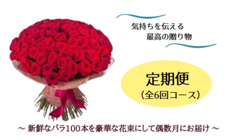 【腕いっぱいの美しいバラ100本】（偶数月にお届け、年6回）600-001