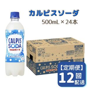 【定期便】カルピスソーダ（500mL×24本）〔12回配送〕156-002