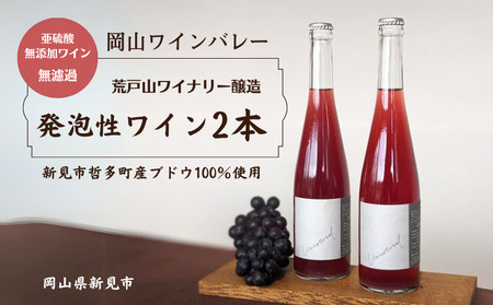 岡山ワインバレー 荒戸山ワイナリー醸造 ワイン2本セット（発泡性ワイン）