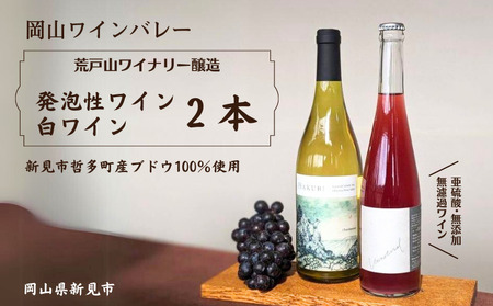 岡山ワインバレー 荒戸山ワイナリー醸造 ワイン2本セット（発泡性ワイン・白ワイン）