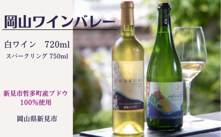 新見市哲多町産のぶどう100%を使った岡山ワインバレーの日本ワイン（白・スパークリング）2本セット