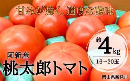 阿新産桃太郎トマト 1箱 約4kg 16～20玉 【2022年7～9月限定】