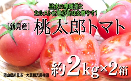 大原観光果樹園 桃太郎トマト 約2kg×2箱 【先行予約 7月下旬から順次発送】