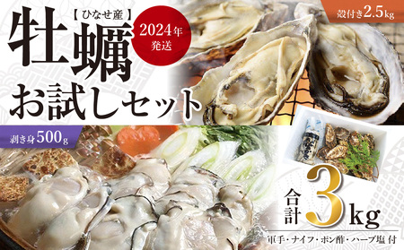 【2024年発送】ひなせ産　牡蠣　食べ比べ　お試しセット