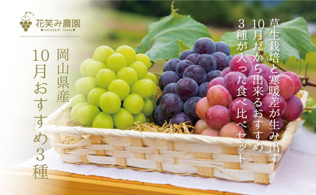 【2616-0322】[岡山県産] 花笑み農園のブドウ『10月おすすめ3種』約2kg (3房) 3M-2L