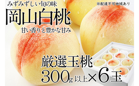 桃 2024年 先行予約 岡山の白桃 300g以上×6玉 白桃 旬 みずみずしい 晴れの国 おかやま 岡山県産 フルーツ王国 果物王国
