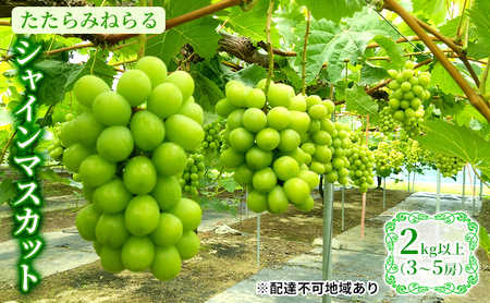 ぶどう 2024年 先行予約 たたらみねらる シャインマスカット 2kg以上（3～5房） 岡山県産 葡萄 果物 フルーツ