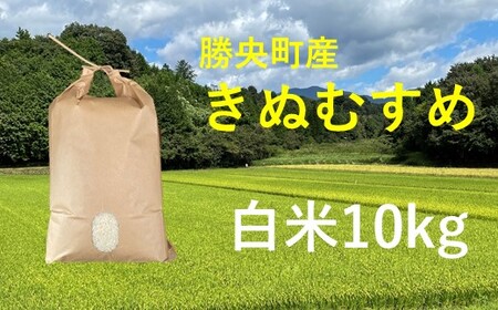 令和6年産　食味コンテスト受賞者の作るお米シリーズ「きぬむすめ白米10kg」_【11月から3月発送】_S100