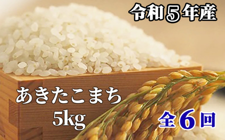 【6回定期便】白米 5kg 令和5年産 あきたこまち 岡山 「おおがや米」生産組合 G-bf-CCZA