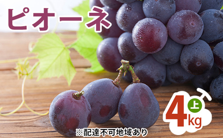 ピオーネ 4kg （上） ぶどう 葡萄 フルーツ 果物 岡山県 岡山県産 2024年 先行予約
