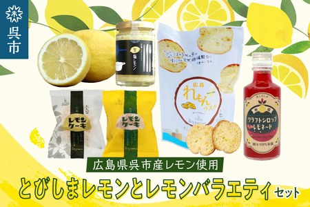 【期間限定】レモン好きのためのレモン1kgとレモン商品詰め合わせセット