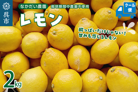 栽培期間中農薬不使用「レモン」約2kg【クール便】