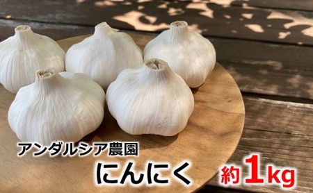 アンダルシア農園 呉産 にんにく 広島県特別栽培農産物認定 約1kg