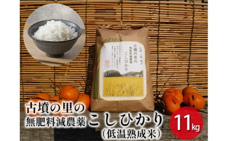 古墳の里の無肥料減農薬こしひかり（低温熟成米）11kg 広島 三原 瀬戸内ビオファーム