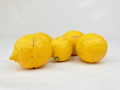【有機JAS認証】レモン島からお贈りするオーガニックレモン 5kg 有機レモン 産直 国産 有機栽培