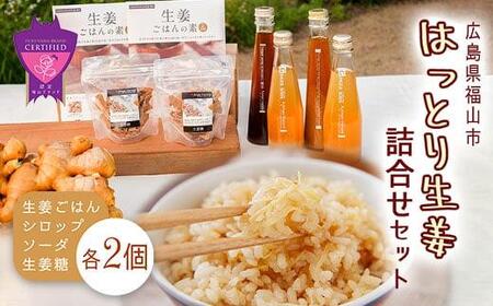福山産 厳選素材の大人気「生姜商品詰合せ」5種類 計8個