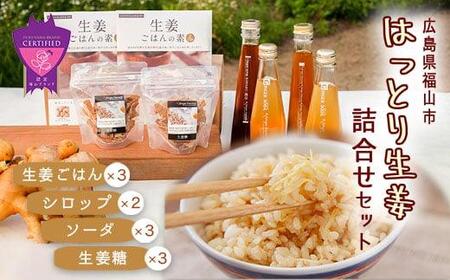 福山産 厳選素材の大人気「生姜商品詰合せ」 5種類 計11個