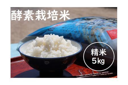 No.261 酵素栽培米コシヒカリ　5kg