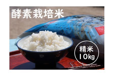 No.264 酵素栽培米コシヒカリ　10kg