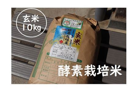 No.265 酵素栽培米玄米食用コシヒカリ　10kg