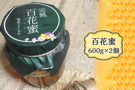 完熟純粋 ハチミツ 百花蜜 600g×2個｜広島県産 はちみつ 蜂蜜 国産 [1444]