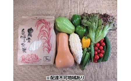 旬の野菜とお米のセット【配達不可：北海道・沖縄・離島】