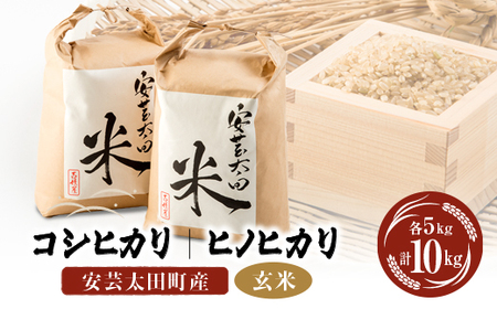 【令和5年産】コシヒカリ・ヒノヒカリ玄米食べ比べセット　計10kg【1282311】