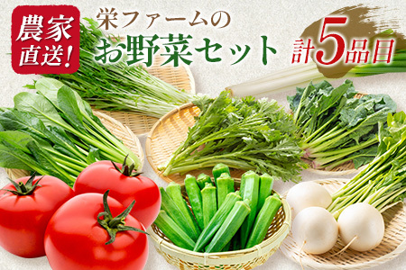 農家直送！栄ファームのお野菜セット SA091_006