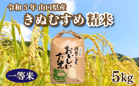 【期間限定】令和5年 米 収穫 山口県産きぬむすめ 精米 5kg×1箱  GA005