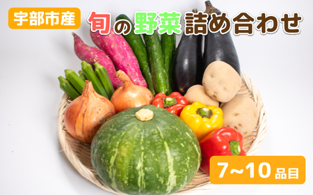 新鮮野菜の産直　＜楠こもれびの郷「楠四季菜市」＞ AL02-FN
