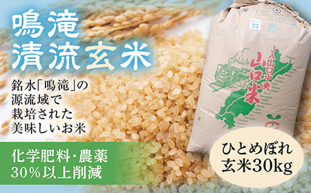 C023 鳴滝清流米玄米30ｋｇ