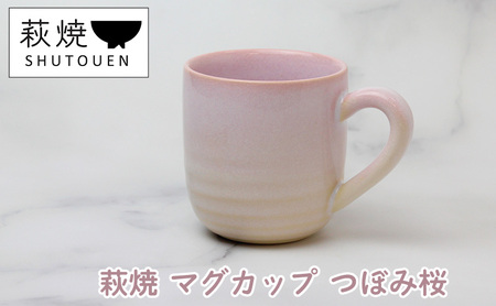 萩焼 マグカップ つぼみ桜 手作り 陶器