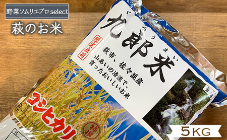 コシヒカリ 5kg 九郎米 特選 野菜ソムリエ プロselect 萩のお米 萩市 佐々並産 米 お米 白米