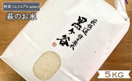 コシヒカリ 5kg 黒ヶ谷米 最上級 野菜ソムリエ プロselect 萩のお米 萩市 佐々並産 米 お米 白米