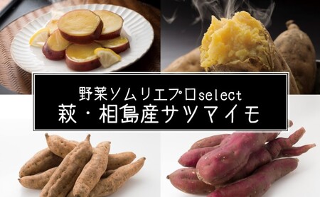 サツマイモ 4kg 萩・相島産 野菜ソムリエ プロselect 芋 お芋 野菜