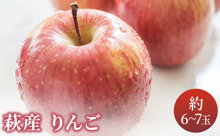 リンゴ 詰め合わせ 萩りんご 萩産 季節の品種  約6～7玉