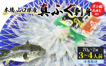 ふぐ 刺身 真ふぐ 140g (70g×2皿) 山口県産 フグ 刺し身 魚 魚介 魚介類 海鮮 天然