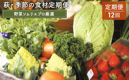 野菜セット 定期便 12ヶ月 萩・季節の食材 野菜ソムリエプロ厳選 野菜 果物 加工品 セット 詰め合わせ お楽しみ