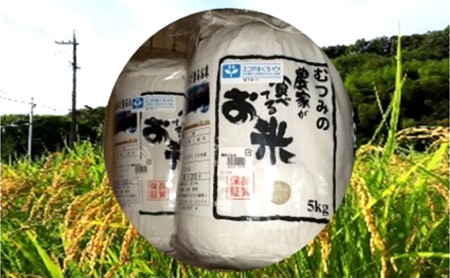 農家が食べてるお米「コシヒカリ」5kg×2
