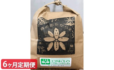 【6ヶ月定期便】自然栽培米『朝日』 白米 10kg