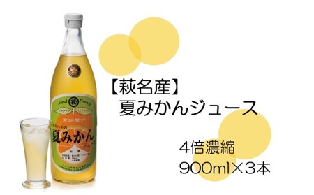 【萩名産】夏蜜柑ジュース（4～5倍濃縮・3本セット）