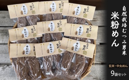 米粉めん 自然栽培 むつみ男米 玄米 中太めん 9袋セット グルテンフリー 麺